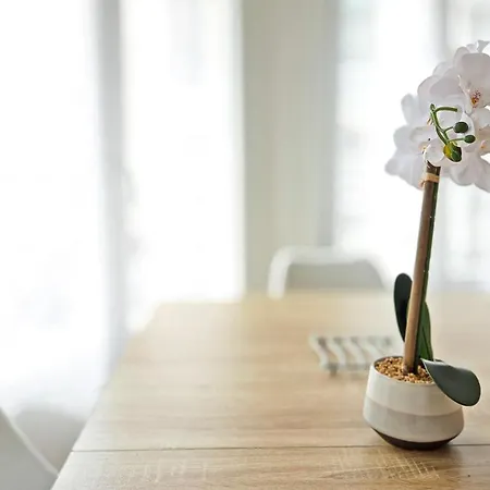 Lx150 T3 Lumineux Proche Tramway - Bail Mobilite * Niza